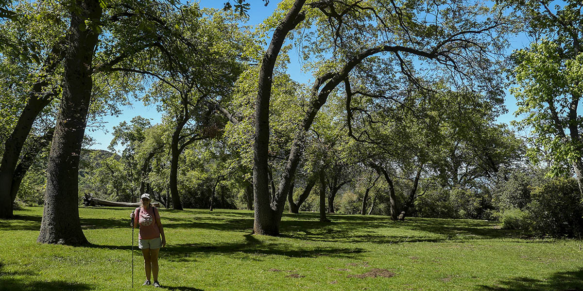 Oak Glen Preserve