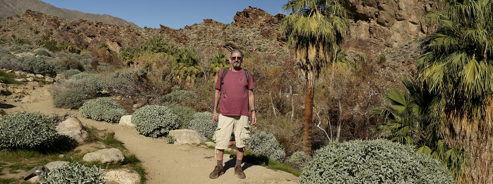 Andreas Canyon - Indian Canyons