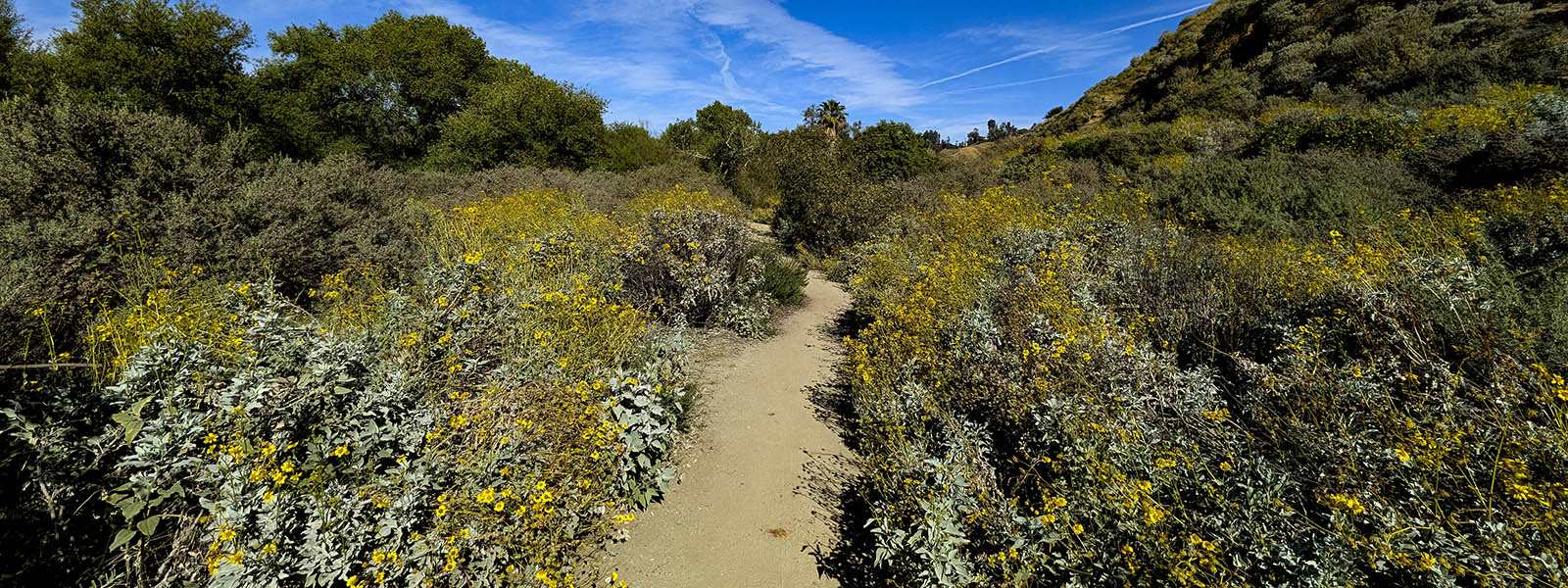 Oak Glen
