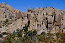 Joshua Tree - Face Rock Hike