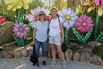 Living Desert with  Debby