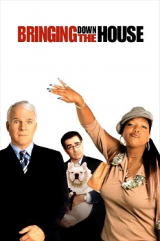 poster Bringing Down the House  (2003)