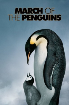 poster March of the Penguins  (2005)