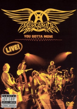 poster Aerosmith: You Gotta Move  (2004)